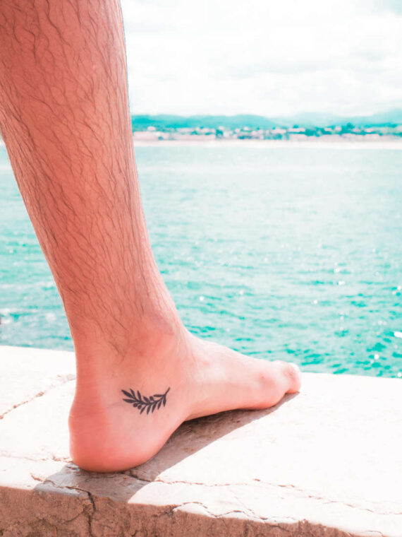 rama de olivo triunfo