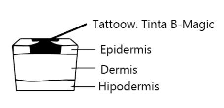 cómo funciona nuestra tinta